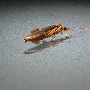 pc235692h1.gif