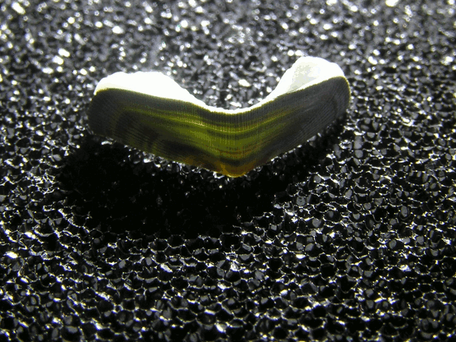 pc310001-066h.gif