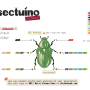 insectuino.png