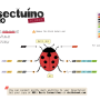 insectuino_nano.png