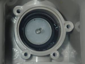 Holman CO1605 diaphragm in pressure chamber