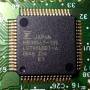 p1124354a.jpg