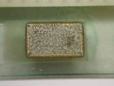 B53K263-1 chip
