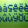 pb108003a.jpg